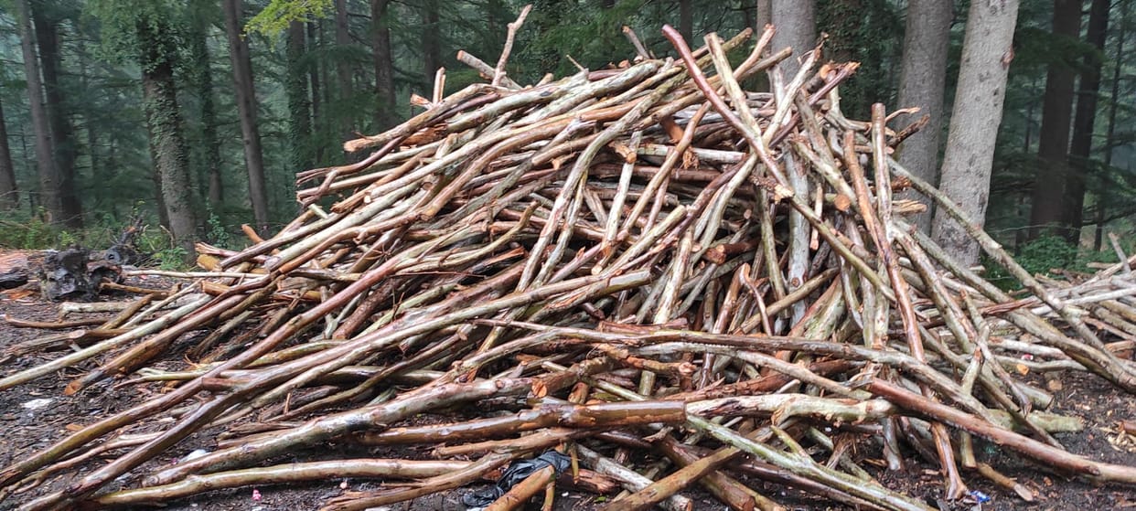 Demand For Tinshed in Lohaghat
