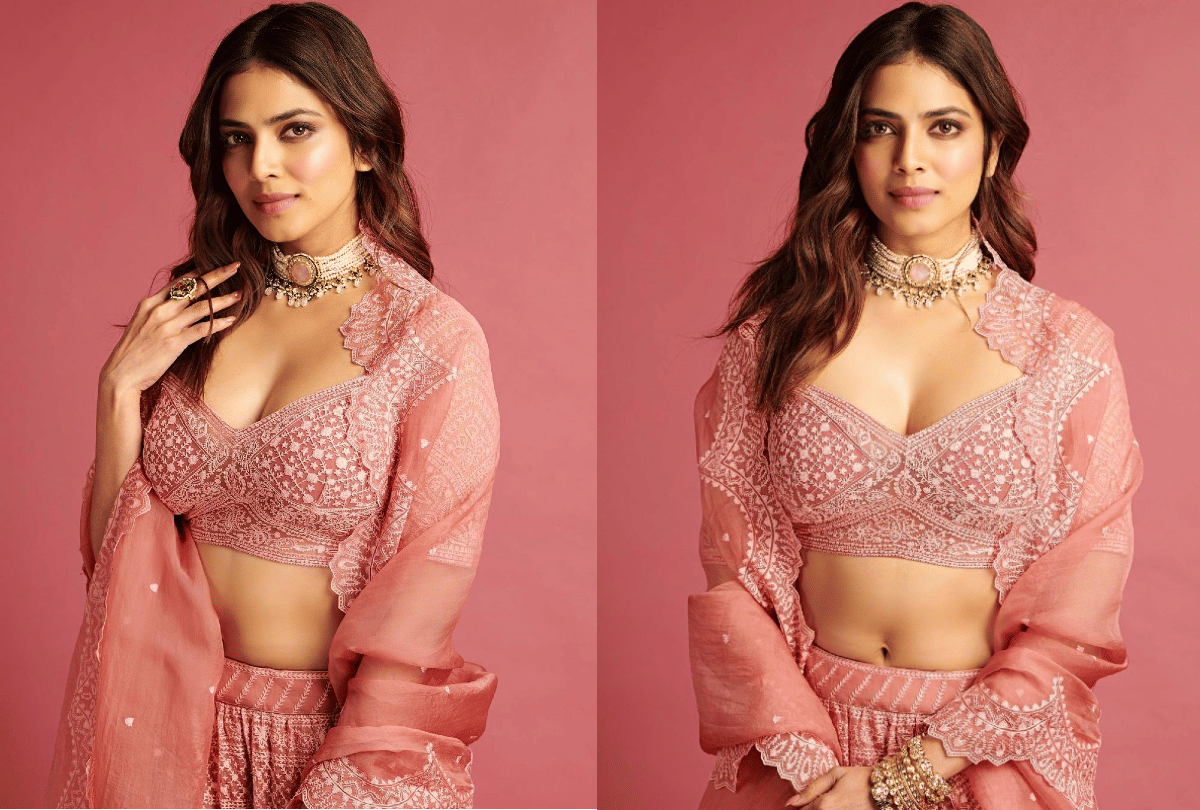 Malavika Mohanan reacts to her vulgar fake pic circulating online