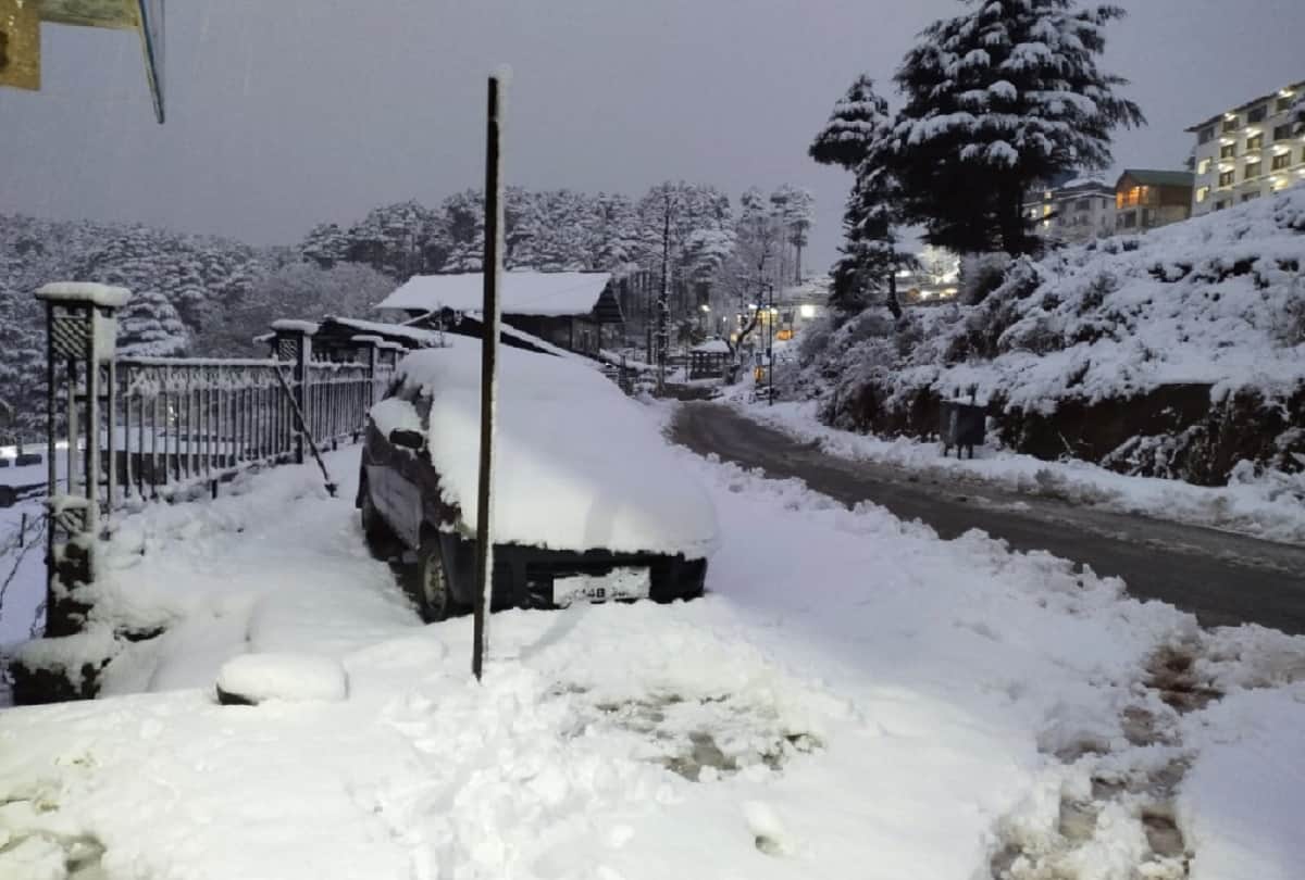 Vaishno Devi complex blossomed due to snowfall, rain and snow in other parts of the state including Patnitop-Gulmarg