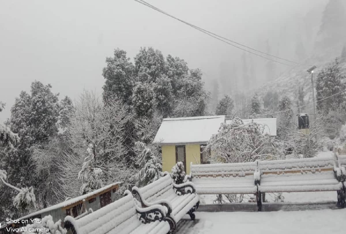 Vaishno Devi complex blossomed due to snowfall, rain and snow in other parts of the state including Patnitop-Gulmarg