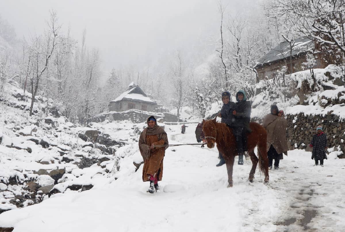 Vaishno Devi complex blossomed due to snowfall, rain and snow in other parts of the state including Patnitop-Gulmarg