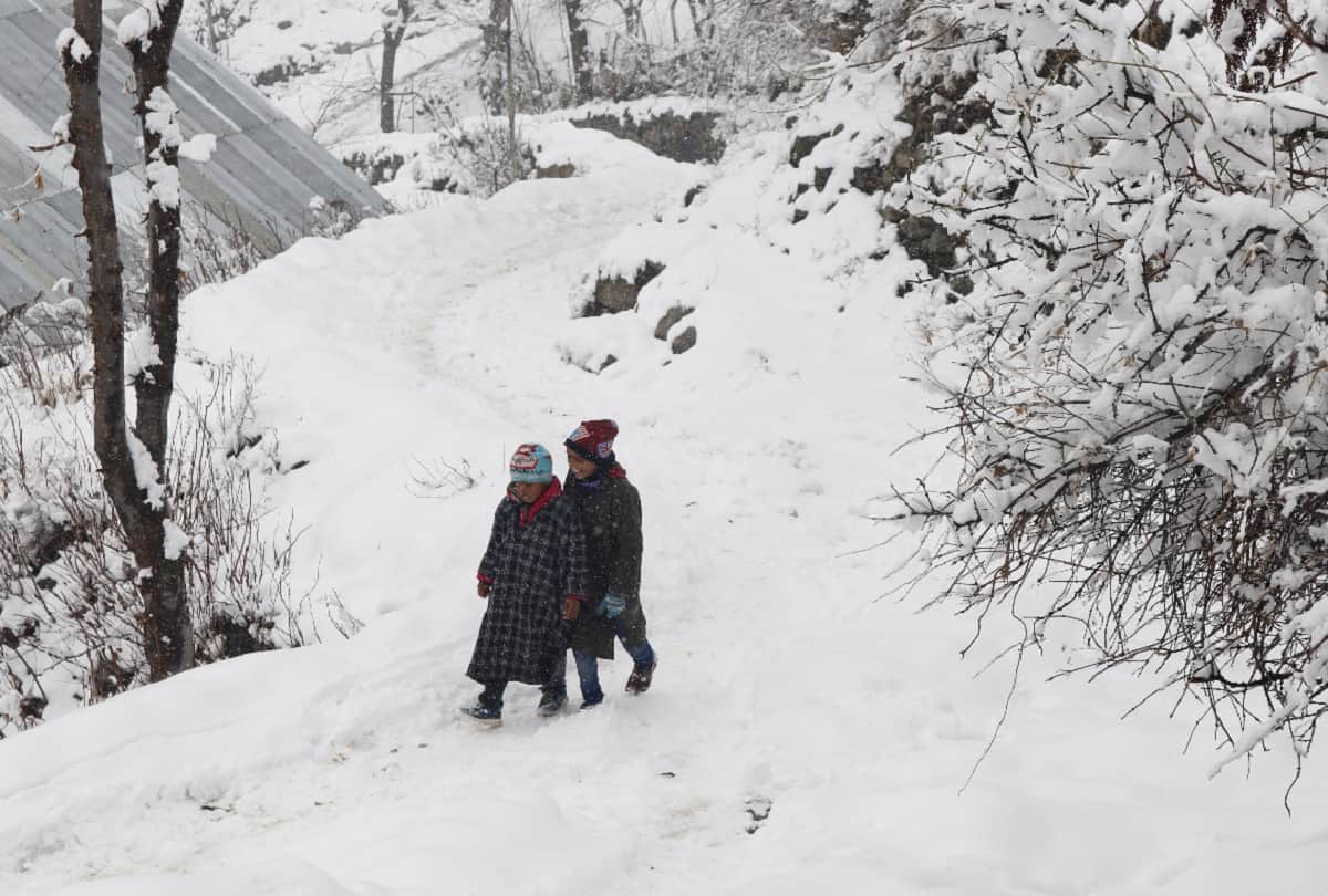 Vaishno Devi complex blossomed due to snowfall, rain and snow in other parts of the state including Patnitop-Gulmarg