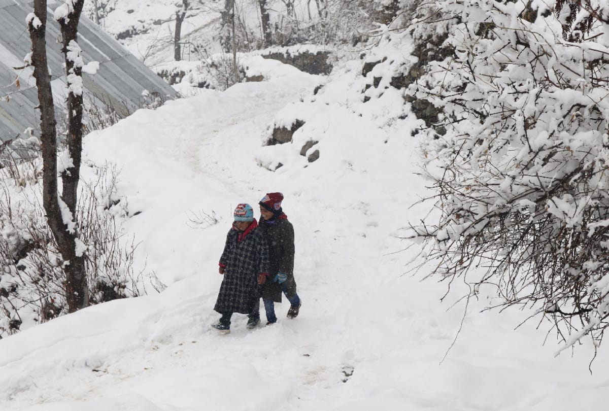 Vaishno Devi complex blossomed due to snowfall, rain and snow in other parts of the state including Patnitop-Gulmarg