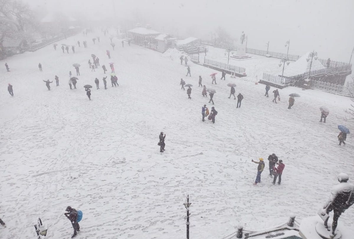 Snowfall in Shimla: Seeing the Snowflakes falling from the sky the excited tourists , see beautiful pictures