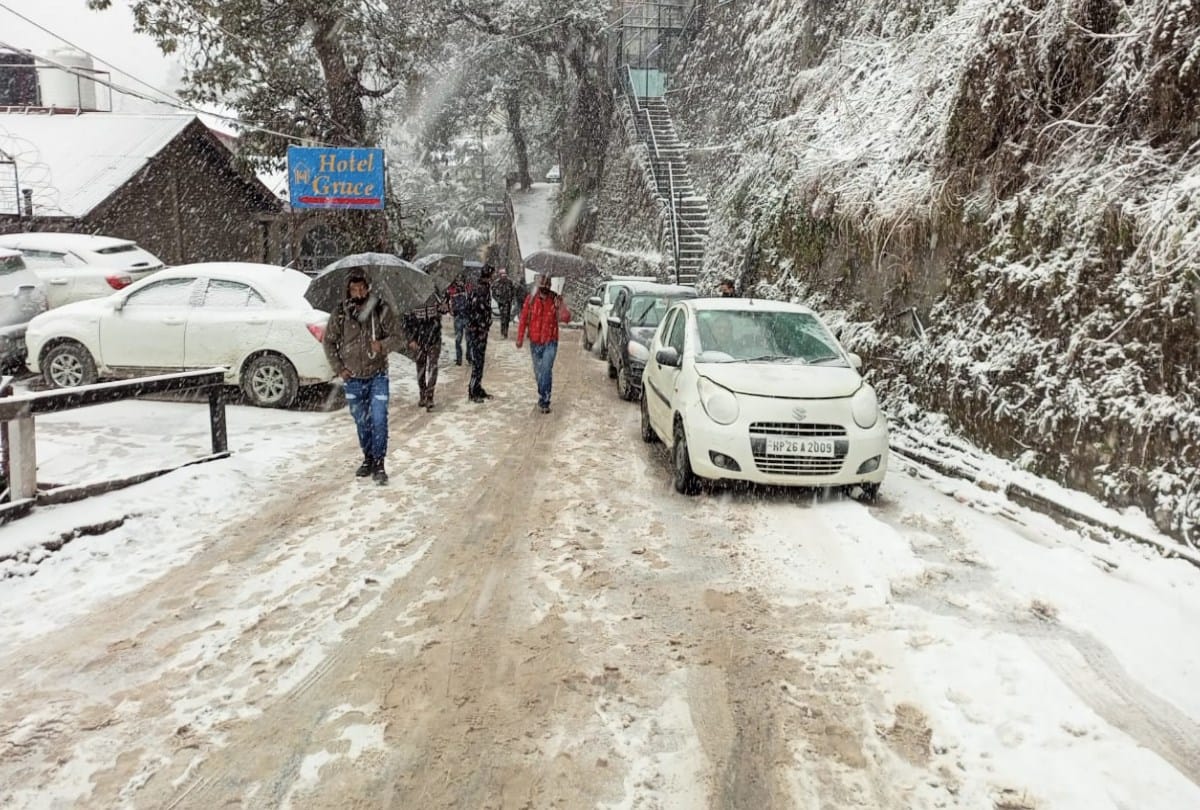 Snowfall in Shimla: Seeing the Snowflakes falling from the sky the excited tourists , see beautiful pictures