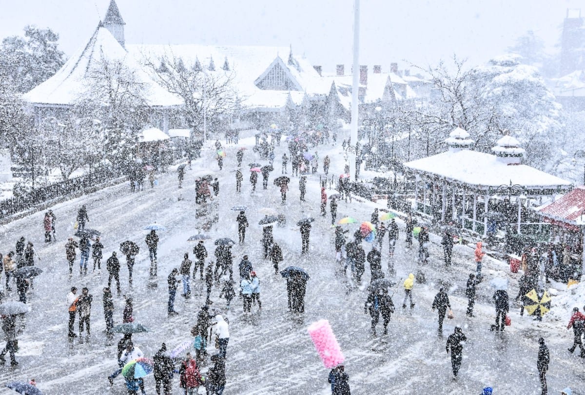 Snowfall in Shimla: Seeing the Snowflakes falling from the sky the excited tourists , see beautiful pictures