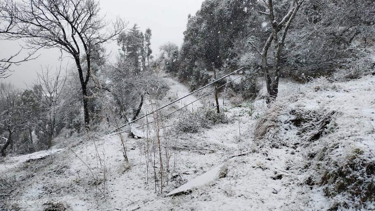 Uttarakhand Weather: Snowfall in Mussoorie and Nainital, Garhwal Kumaon Snowfall Pics