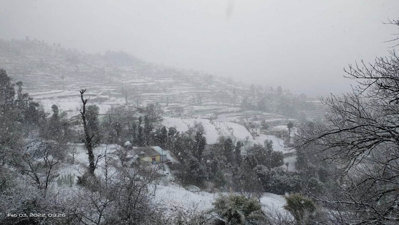 Uttarakhand Weather: Snowfall in Mussoorie and Nainital, Garhwal Kumaon Snowfall Pics