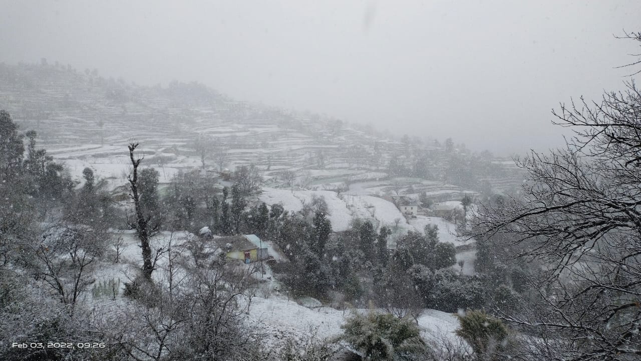 Uttarakhand Weather: Snowfall in Mussoorie and Nainital, Garhwal Kumaon Snowfall Pics