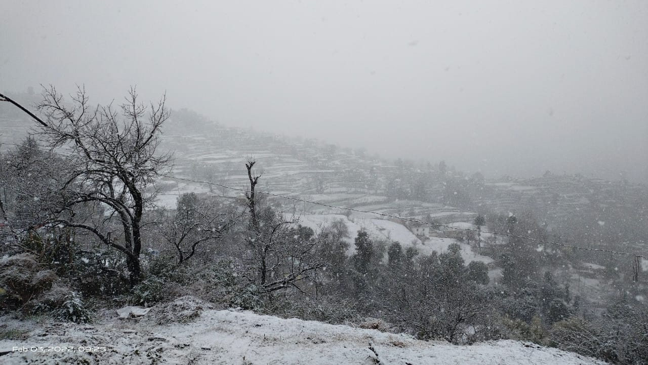 Uttarakhand Weather: Snowfall in Mussoorie and Nainital, Garhwal Kumaon Snowfall Pics