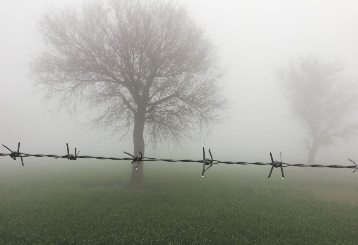 Strong winds after drizzle, fear of damage to crops