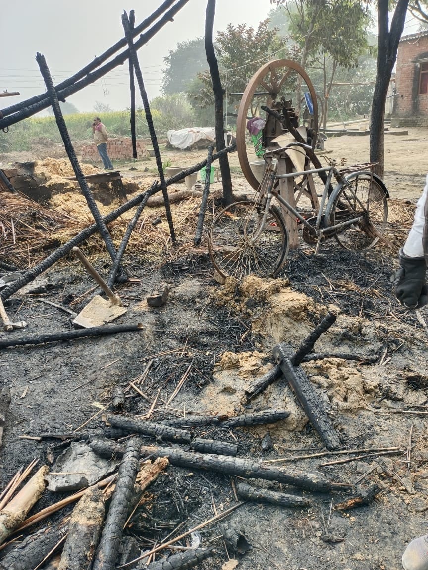 Cow dies in fire