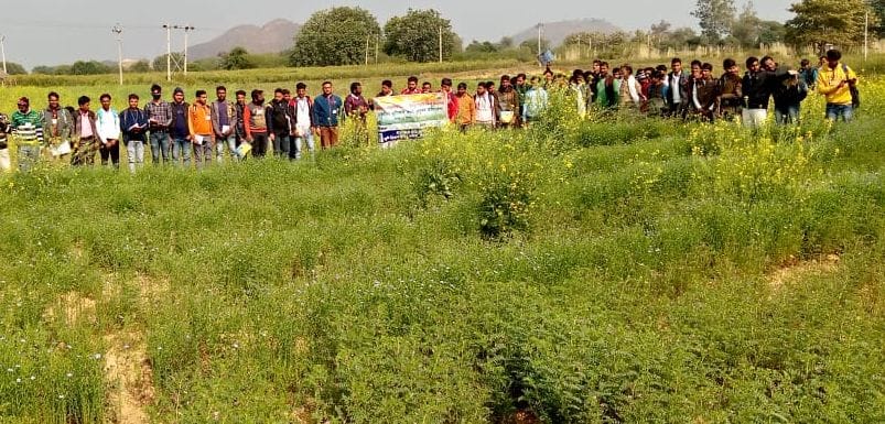 Students went to the fields and learned the nuances of agriculture