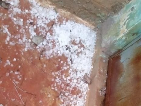 Hail fell with rain, damage to crops, increased farmers' concern