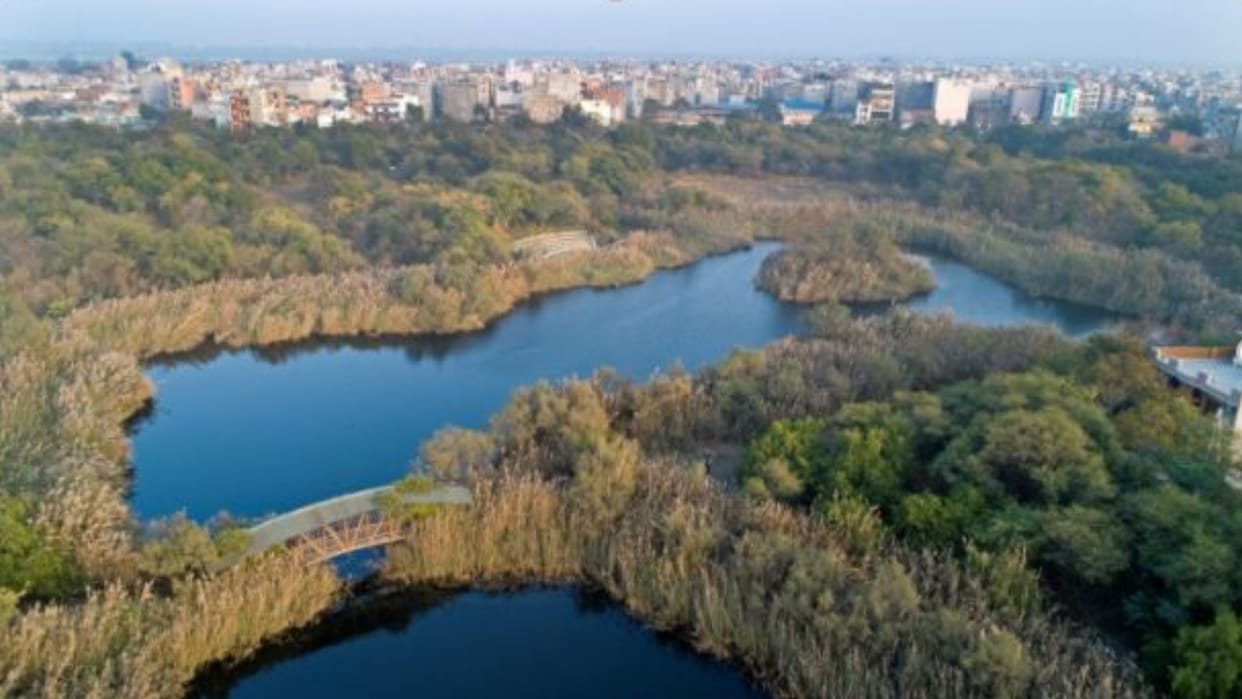 Delhi's groundwater level is continuously falling