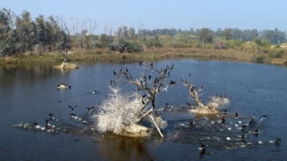 Delhi's groundwater level is continuously falling