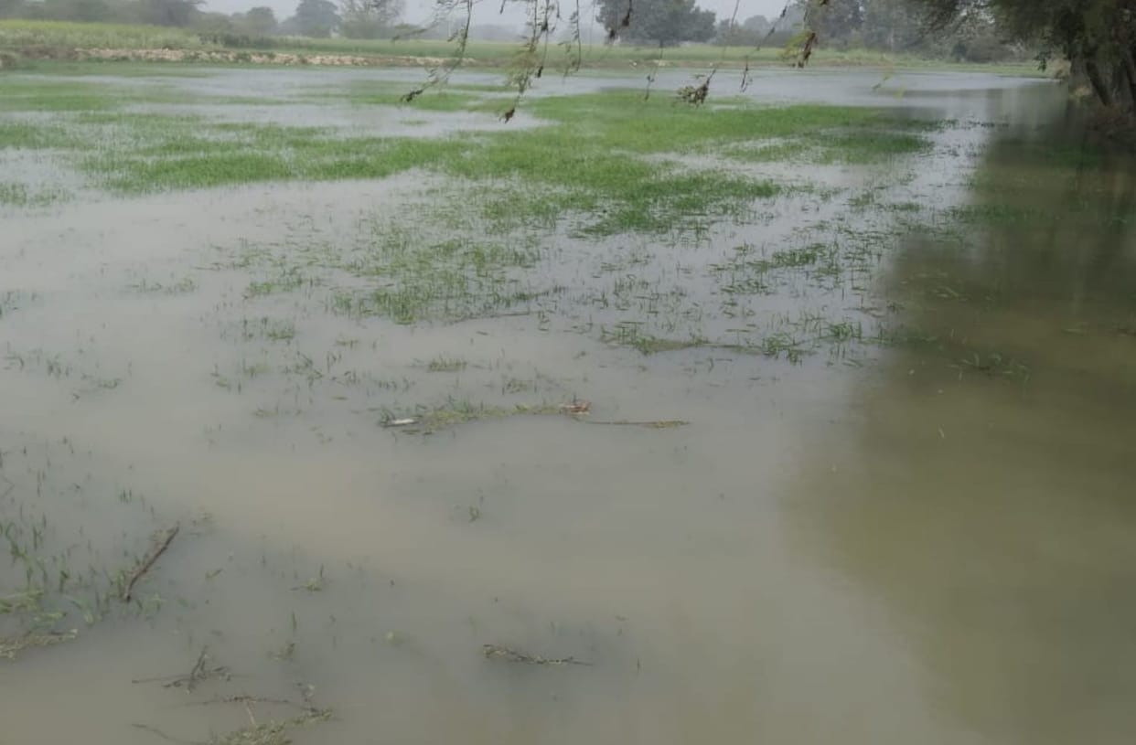 Kharja Bamba overflows, 100 bigha crops of 50 farmers submerged in three villages