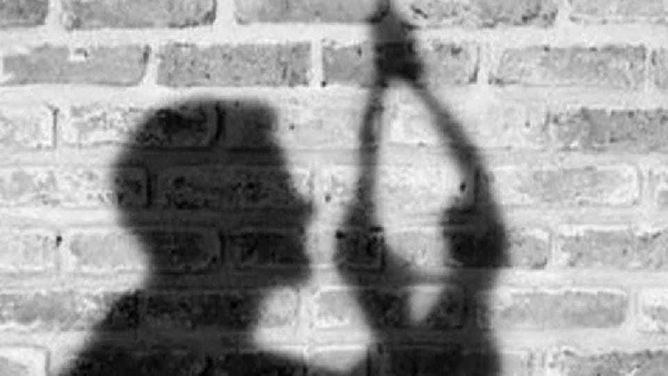 Alleging torture by wife, man hangs self in Kota 