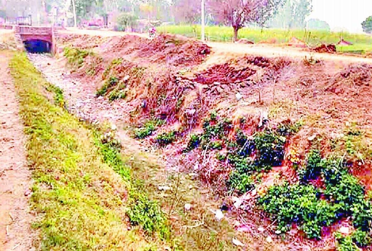 No Water Came In Anupshahr Branch Rajbaha Irrigation Of Crop