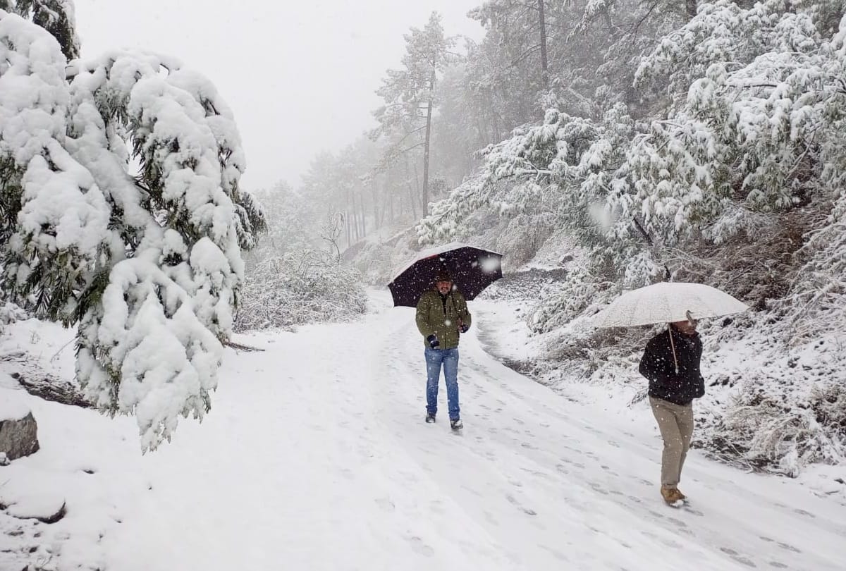 Himachal Heavy Snowfall Weather Update Today: hundredereds of road and electricity transfermers stalled.