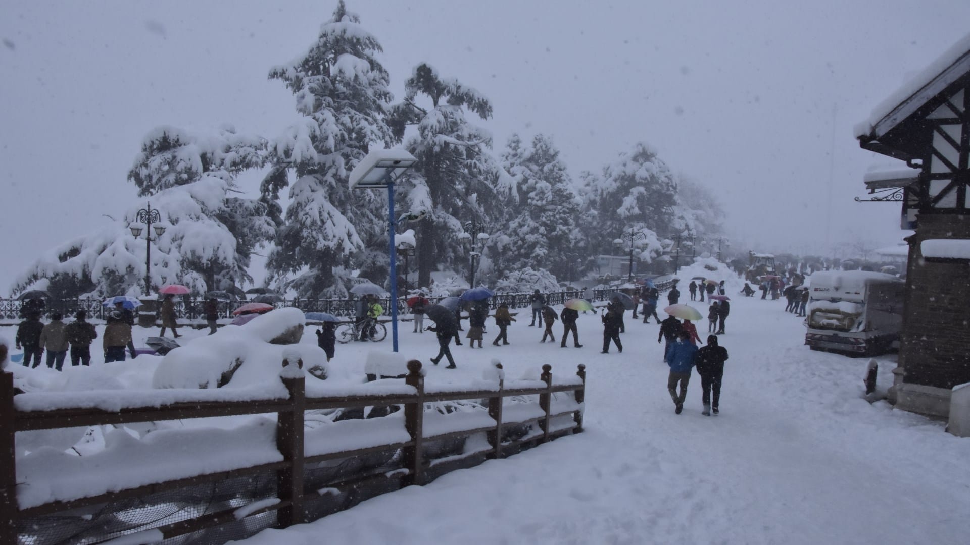White Curfew in Shimla: Himachal Pradesh Shimla Roads Pedestrian Paths Closed Due to Heavy Snowfall, See Photos