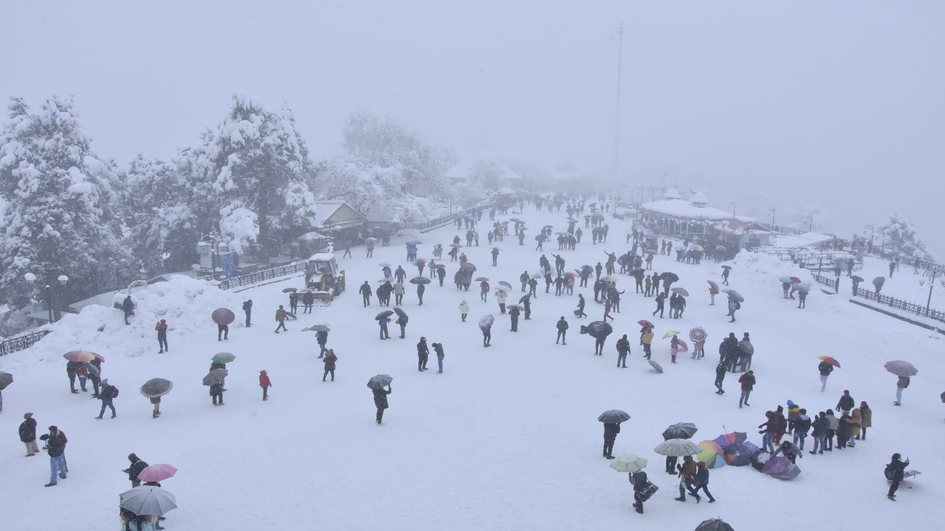 White Curfew in Shimla: Himachal Pradesh Shimla Roads Pedestrian Paths Closed Due to Heavy Snowfall, See Photos