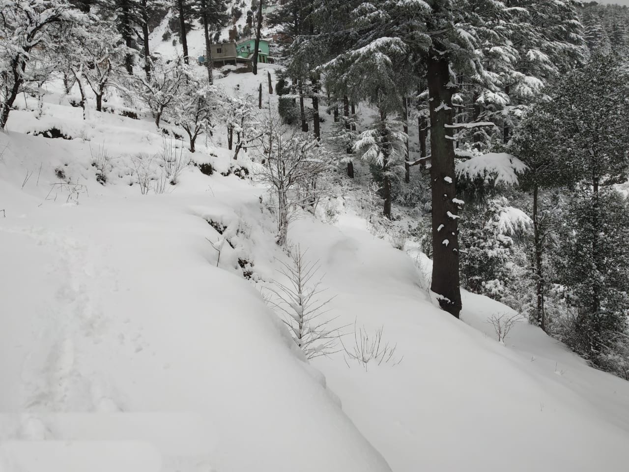 snowfall in Uttarakhand: snowfall and rain continue in friday, see photos