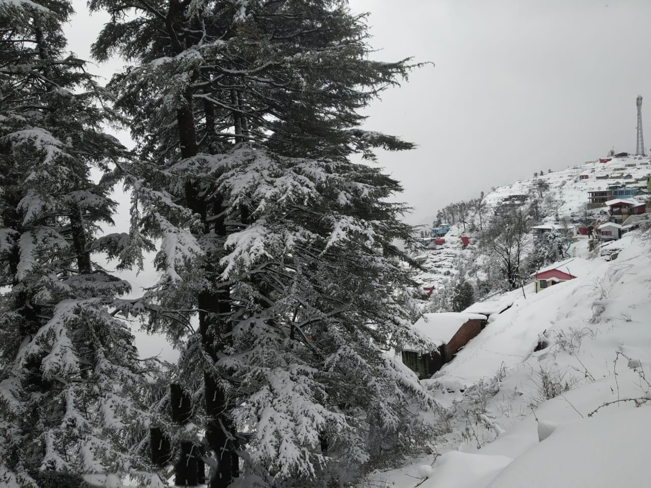 snowfall in Uttarakhand: snowfall and rain continue in friday, see photos