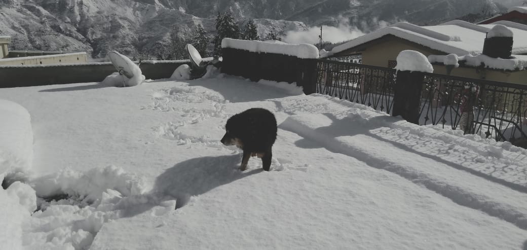 Uttarakand weather: mountains covered by heavy snowfall, see photos