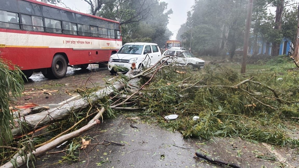 Trees broken due to storm and rain, poles fell, power supply disrupted in many areas