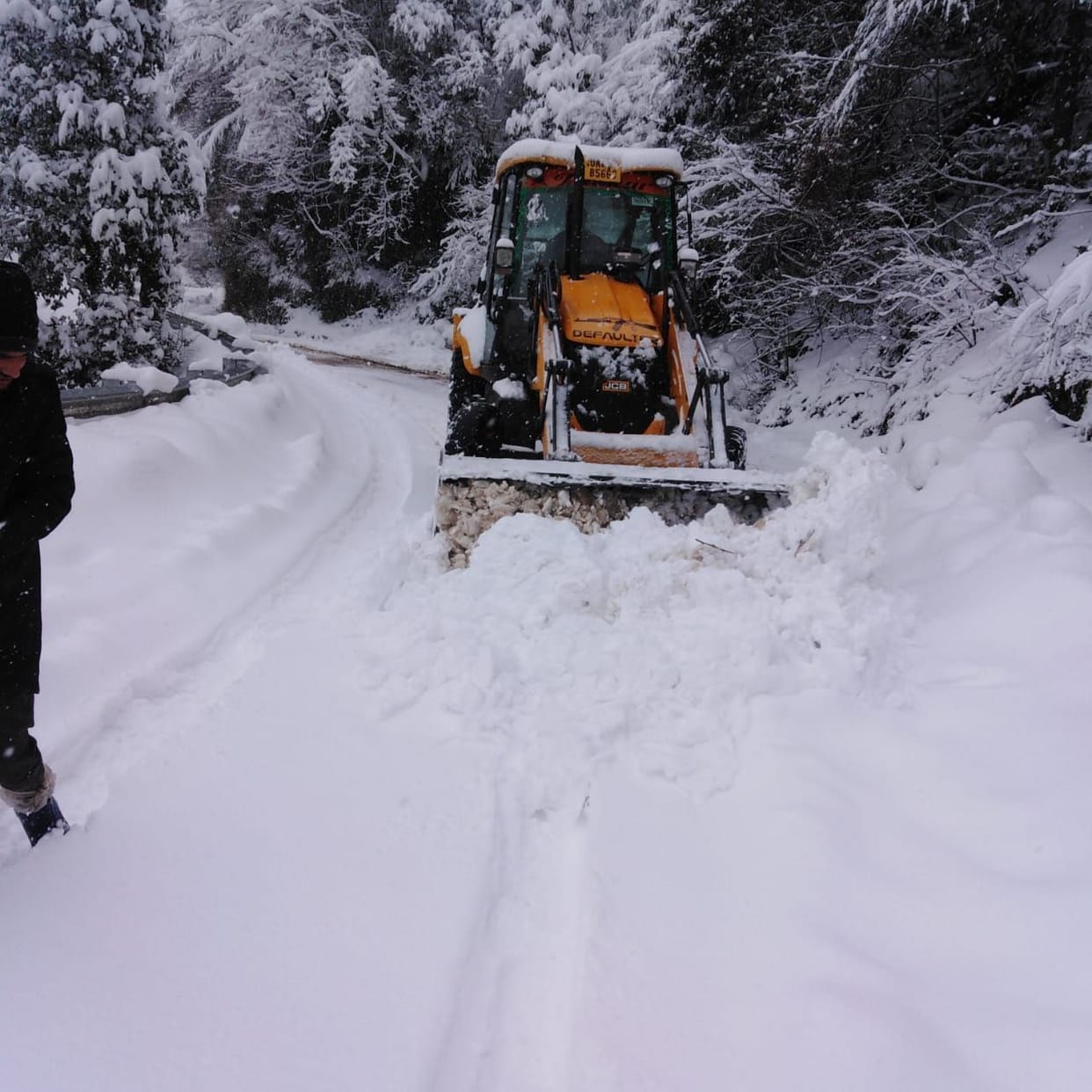 Snow became trouble for the people of Dhanaulti area