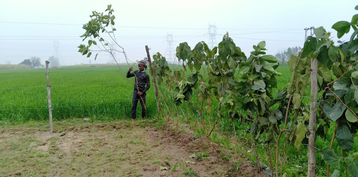 farmers problem,agricultur
