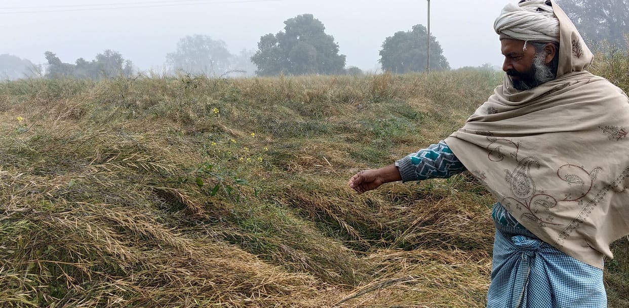 Rain-hailstorm caused destruction in more than 41 villages, damage to crops from 50 to 70 percent