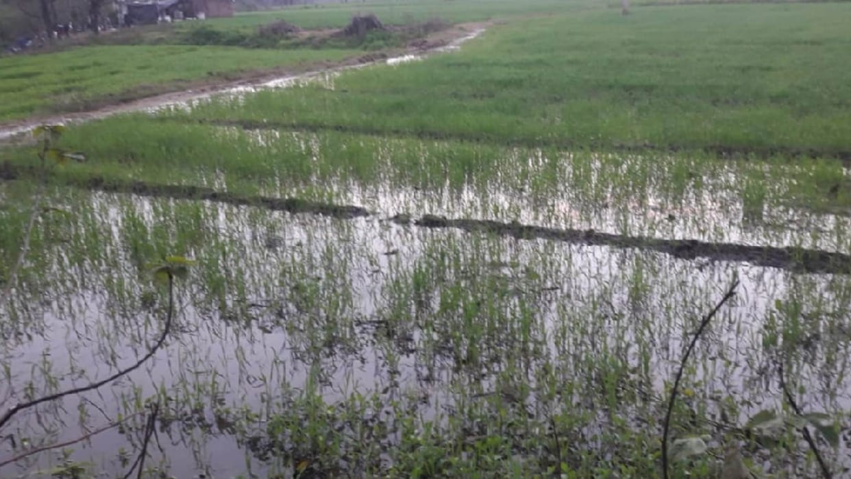 Chandigarh weather update: Winter has increased in Chandigarh due to rain