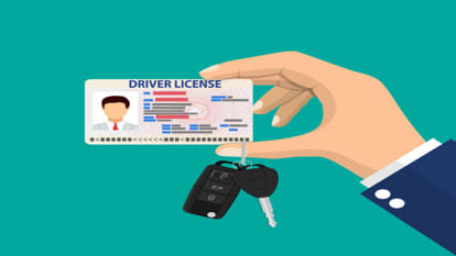 Fully online temporary driving license system
