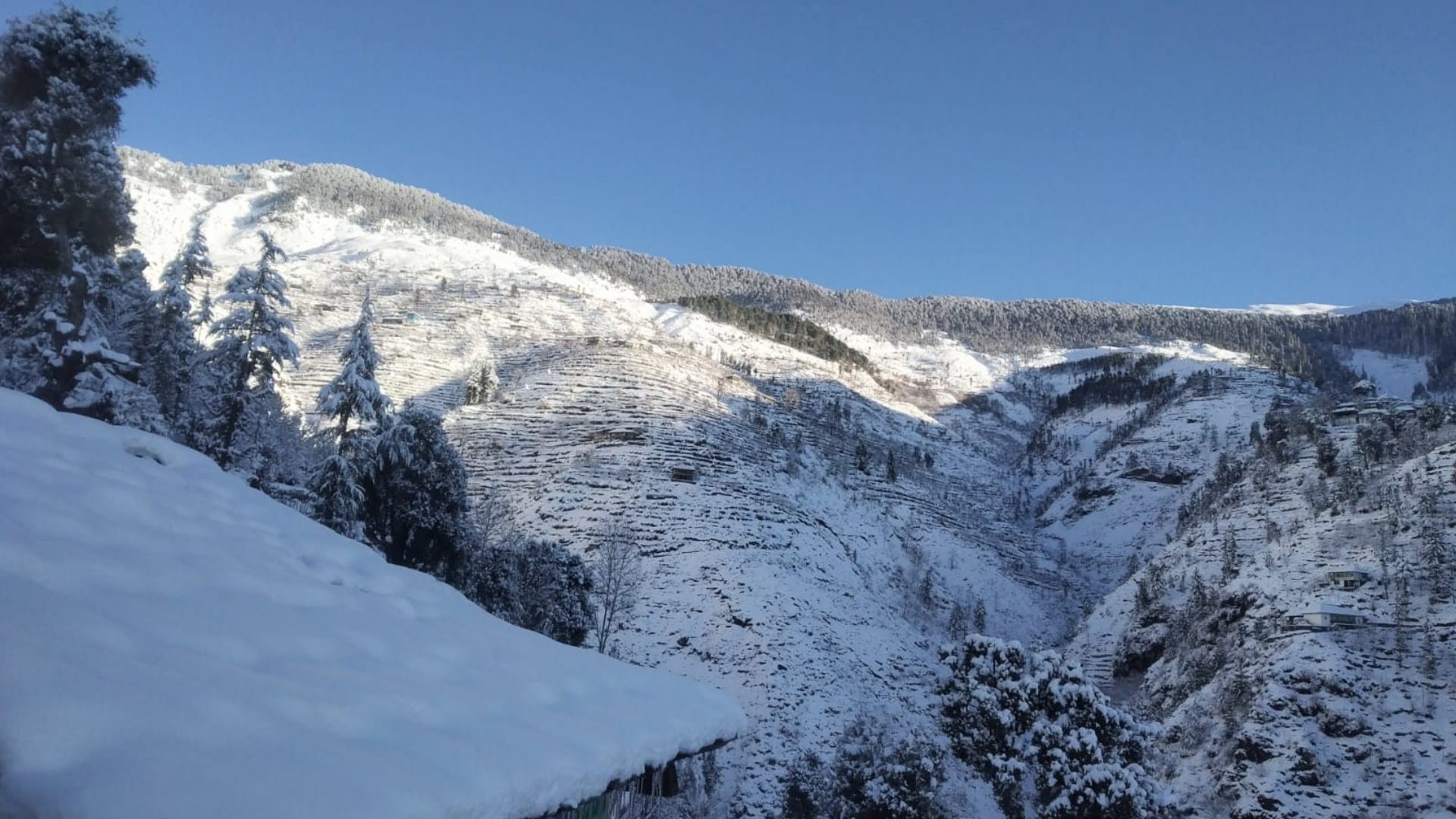 himachal weather update: Weather open but trouble continued in state hundruders of  roads and power transformers stalled due to heavy snowfall, trees breaking as havoc, see photos