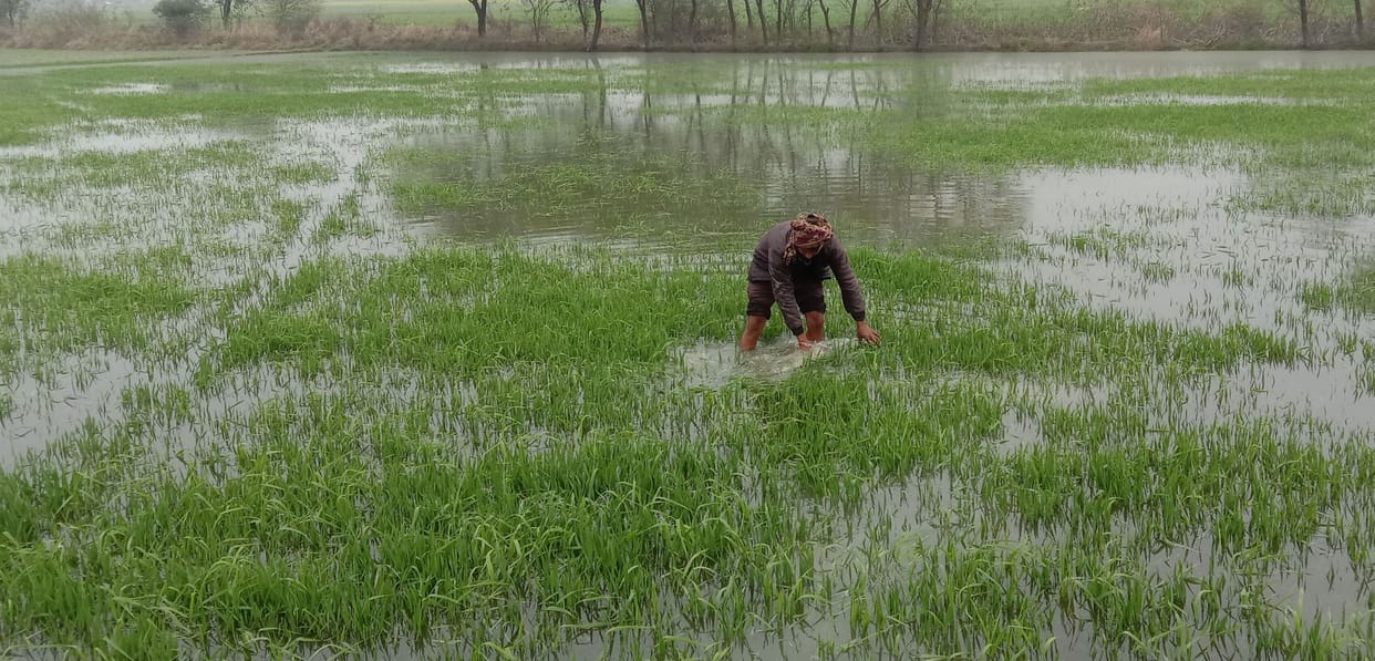 Stop releasing water in Kharja Bamba, danger of crop rot due to waterlogging