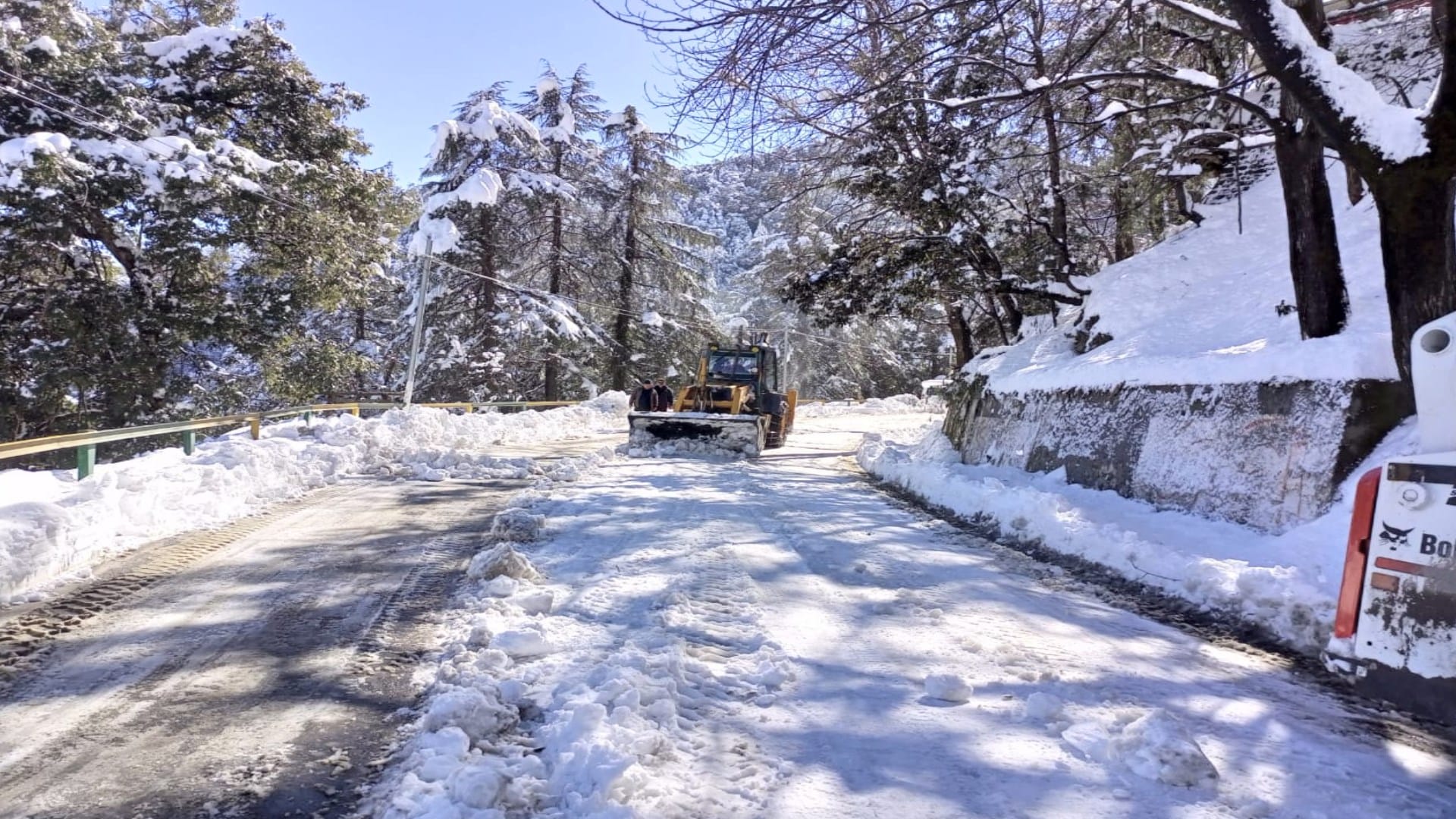 himachal weather update: Weather open but trouble continued in state hundruders of  roads and power transformers stalled due to heavy snowfall, trees breaking as havoc, see photos