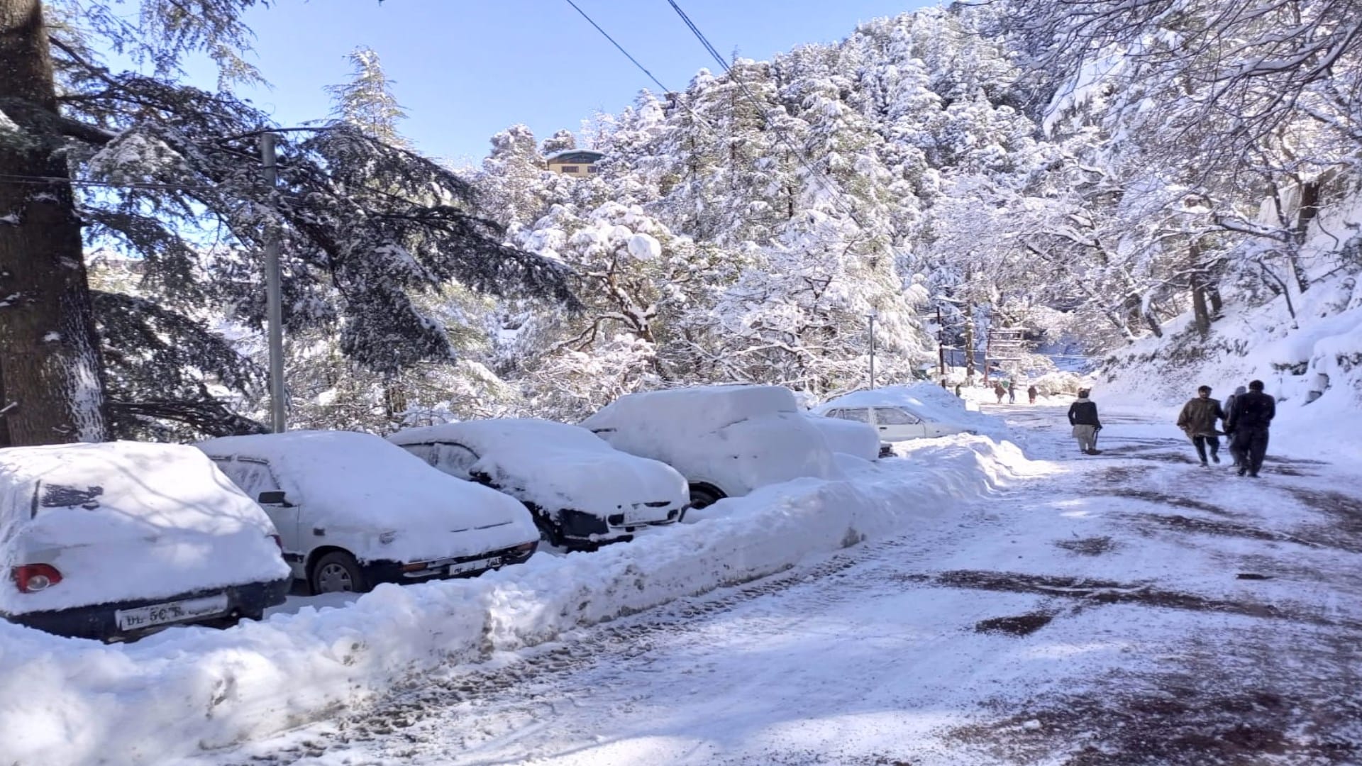 Heavy snowfall in Himachal: See road and power restoration work in pictures
