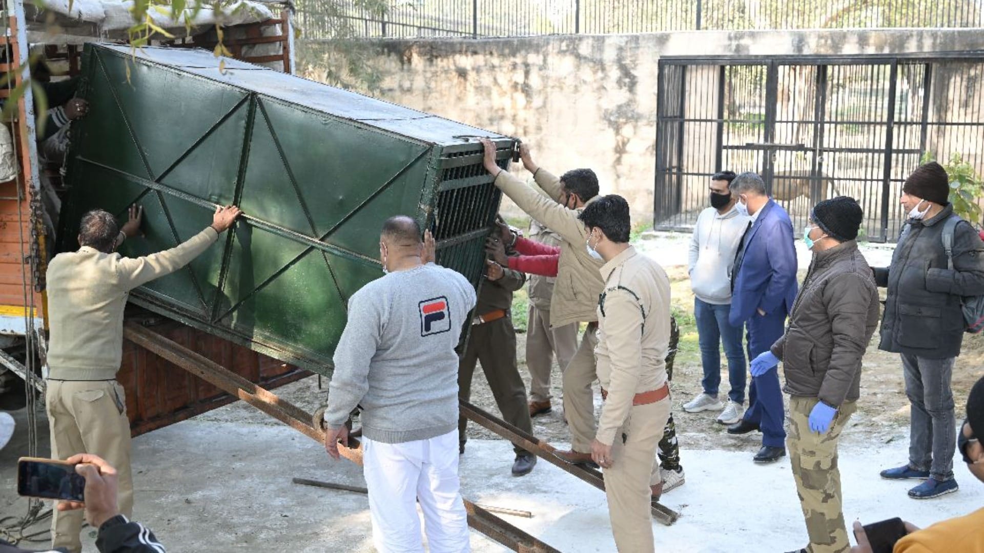 Lion reached from Indore to Bhiwani zoo in Haryana