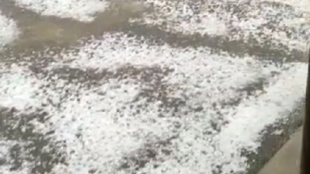 Weather harmed crop in Uttar Pradesh.