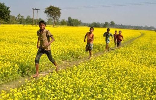 Devotees gathered in religious rituals on the occasion of Vasant Panchami