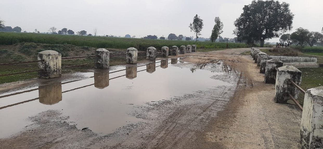 political,badaun,badaun 145 vidhan sabha 2022, bisauli 142 vidhan sabha 2022, sahaswan 143 vidhan sabha 2022, bilsi 144 vidhan sabha 2022, shekhupur 146 vidhan sabha 2022, dataganj 147 vidhan sabha 2022