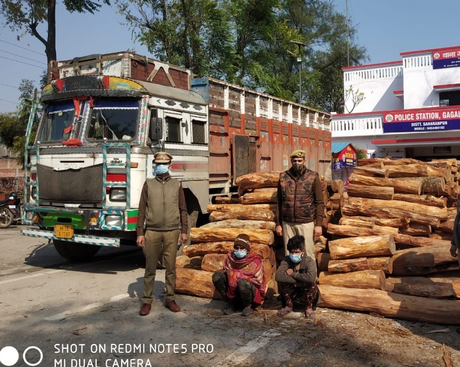 Two smugglers caught with khair wood worth Rs 20 lakh