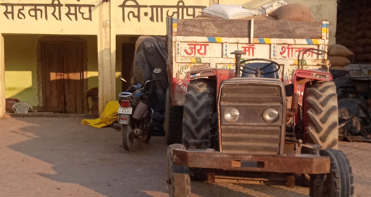 fathepur news,Premature purchase stopped, farmers wandering