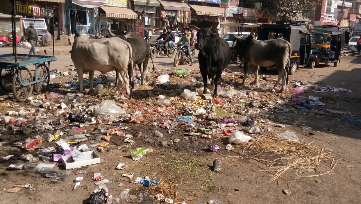 Due to lack of cleanliness on Sunday, the garbage gets piled up