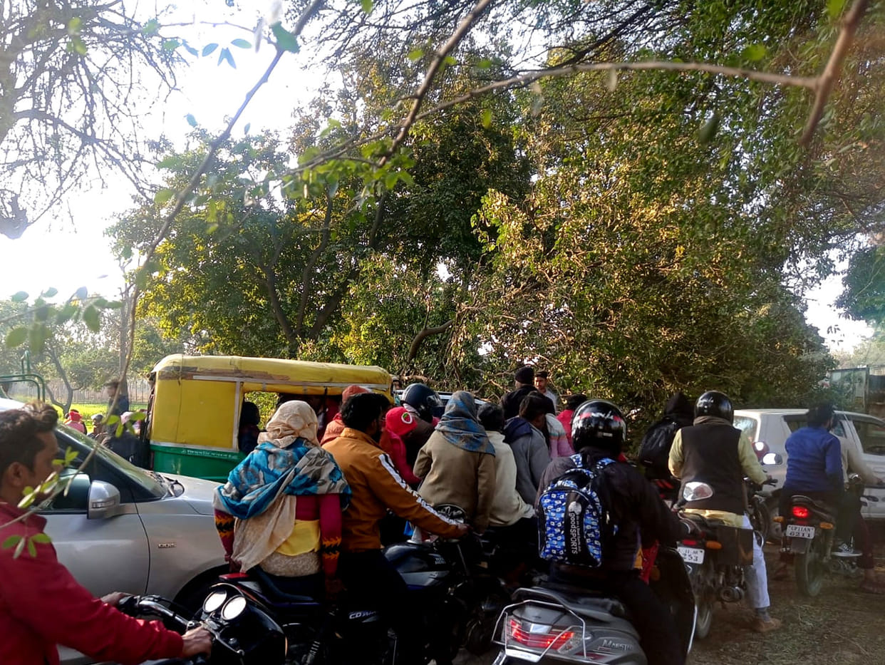 Tree fell on Tapri-Nagal road, jammed for two hours