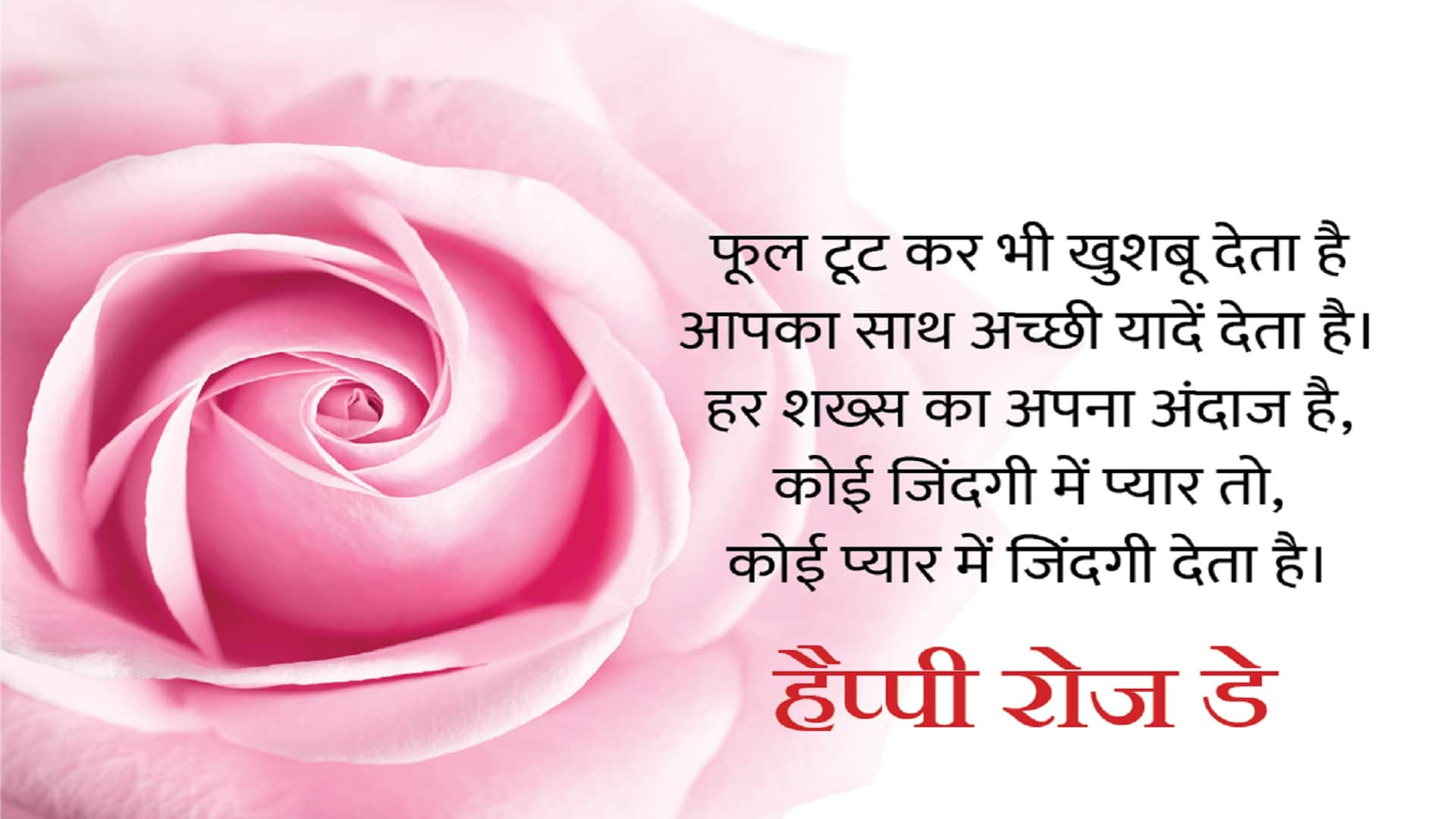 Happy Rose Day 2022 Wishes: Rose Day Images, Quotes, Wallpapers, Messages, Whatsapp Status in Hindi Valentine Day