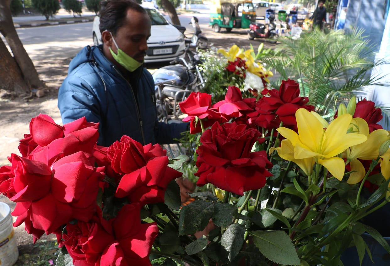 Rose Day today, express love by giving red roses