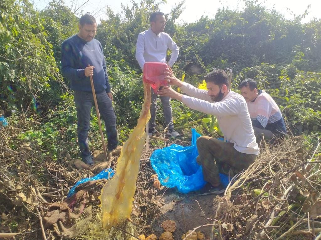 1750 kg of Lahan was destroyed